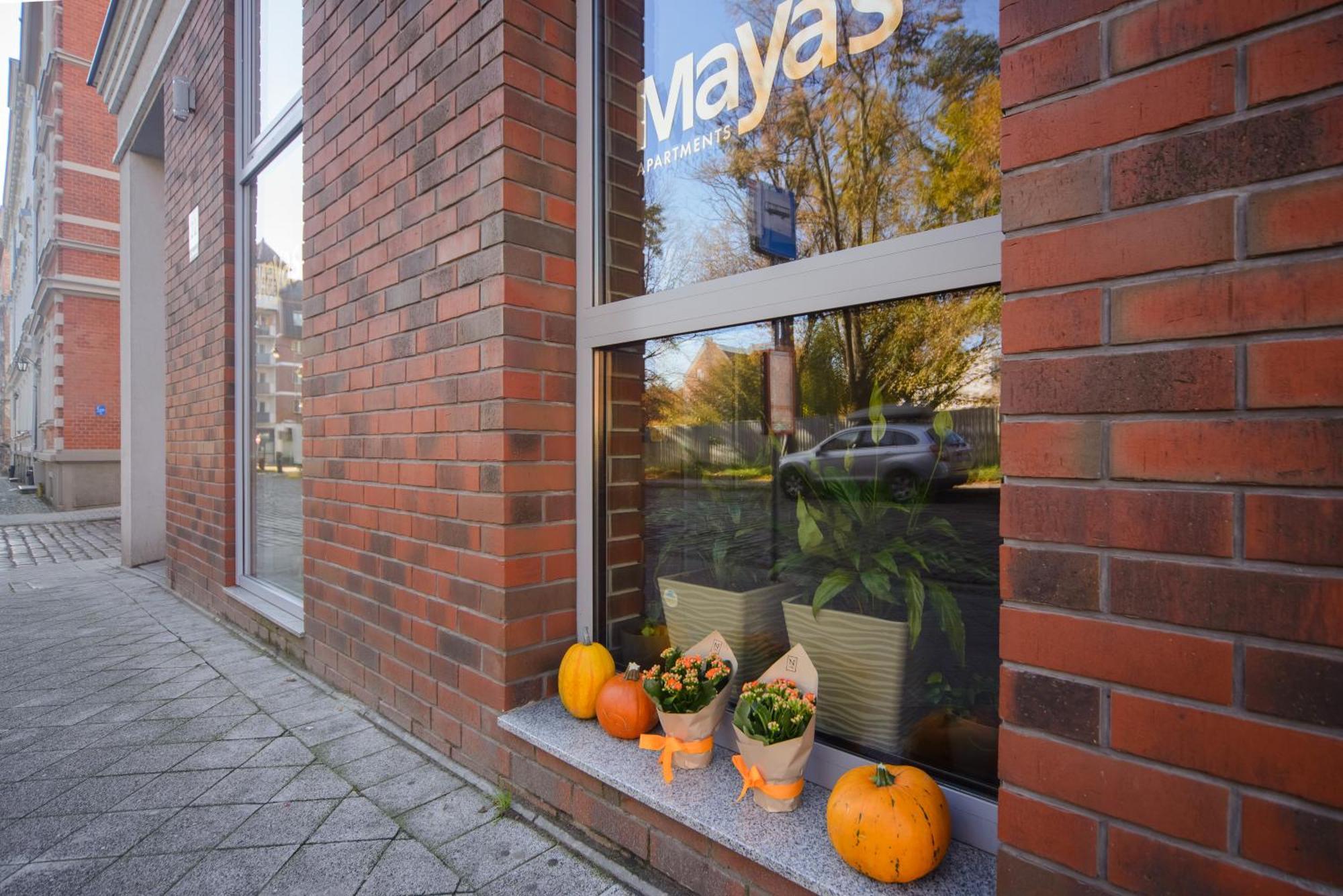 Maya'S Apartments 格但斯克 外观 照片